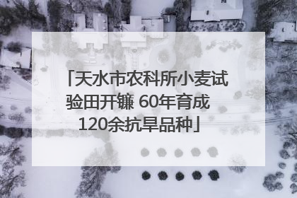 天水市农科所小麦试验田开镰 60年育成120余抗旱品种