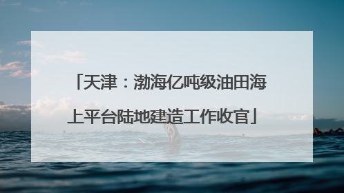 天津：渤海亿吨级油田海上平台陆地建造工作收官