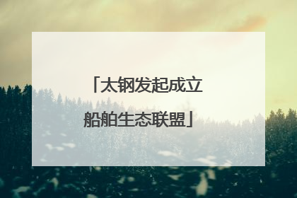 太钢发起成立船舶生态联盟