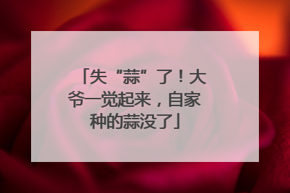 失“蒜”了！大爷一觉起来，自家种的蒜没了