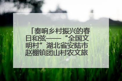 奏响乡村振兴的春日和弦——“全国文明村”湖北省安陆市赵棚镇团山村农文旅融合发展见闻