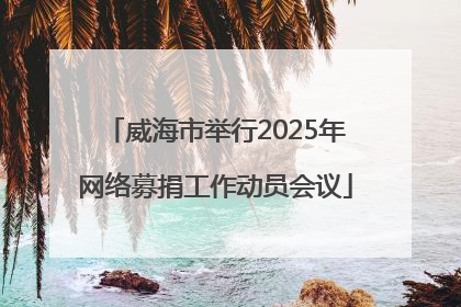 威海市举行2025年网络募捐工作动员会议