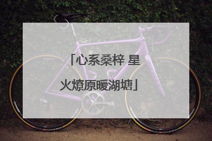 心系桑梓 星火燎原暖湖塘