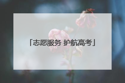 志愿服务 护航高考