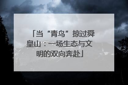 当“青鸟”掠过舜皇山：一场生态与文明的双向奔赴
