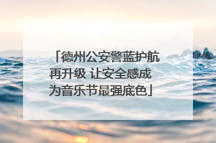 德州公安警蓝护航再升级 让安全感成为音乐节最强底色