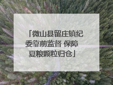 微山县留庄镇纪委靠前监督 保障夏粮颗粒归仓