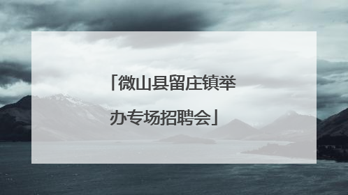 微山县留庄镇举办专场招聘会