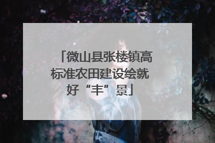 微山县张楼镇高标准农田建设绘就好“丰”景