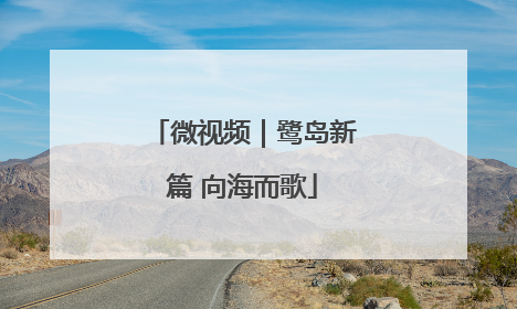 微视频｜鹭岛新篇 向海而歌