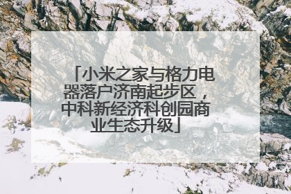 小米之家与格力电器落户济南起步区，中科新经济科创园商业生态升级