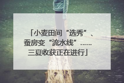 小麦田间“选秀”、蚕房变“流水线”……三夏收获正在进行