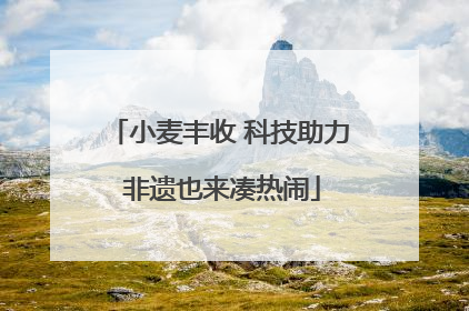 小麦丰收 科技助力 非遗也来凑热闹
