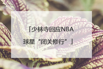 少林寺回应NBA球星“闭关修行”