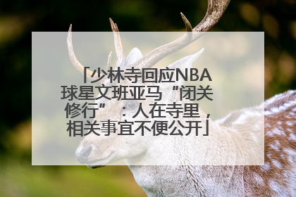 少林寺回应NBA球星文班亚马“闭关修行”：人在寺里，相关事宜不便公开