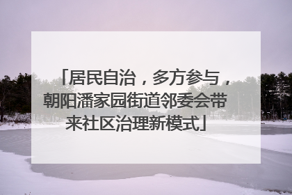 居民自治，多方参与，朝阳潘家园街道邻委会带来社区治理新模式