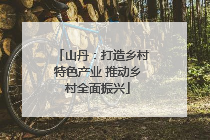 山丹：打造乡村特色产业 推动乡村全面振兴