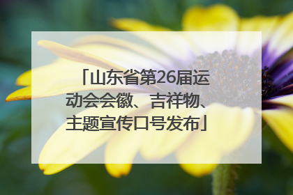 山东省第26届运动会会徽、吉祥物、主题宣传口号发布