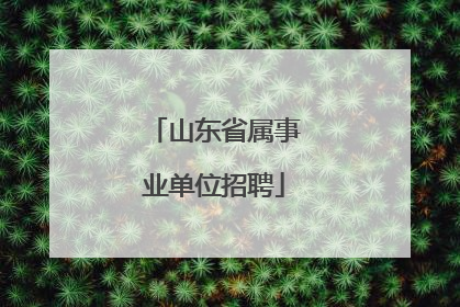 山东省属事业单位招聘