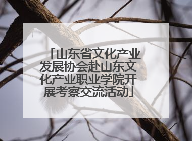山东省文化产业发展协会赴山东文化产业职业学院开展考察交流活动