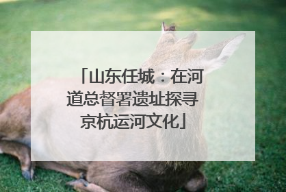 山东任城：在河道总督署遗址探寻京杭运河文化