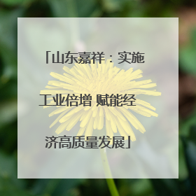 山东嘉祥：实施工业倍增 赋能经济高质量发展