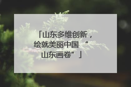 山东多维创新，绘就美丽中国 “山东画卷”