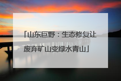 山东巨野：生态修复让废弃矿山变绿水青山