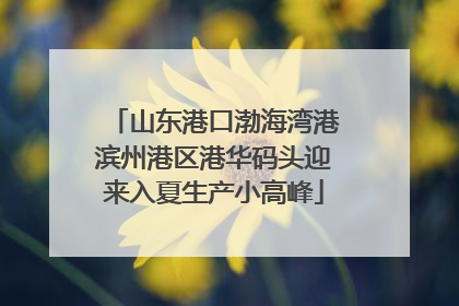 山东港口渤海湾港滨州港区港华码头迎来入夏生产小高峰