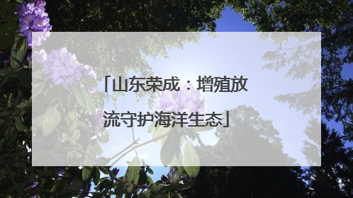 山东荣成：增殖放流守护海洋生态
