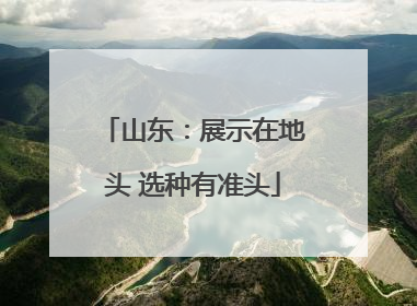 山东：展示在地头 选种有准头