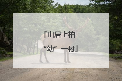山居上柏 “幼”一村