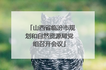 山西省临汾市规划和自然资源局党组召开会议