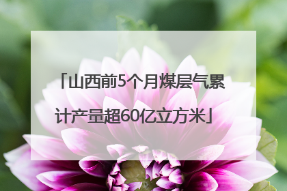 山西前5个月煤层气累计产量超60亿立方米