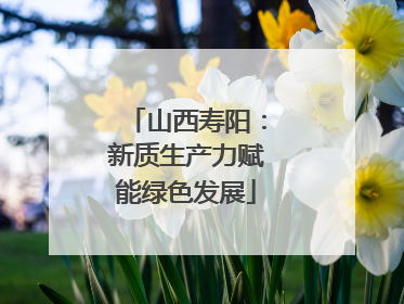山西寿阳：新质生产力赋能绿色发展