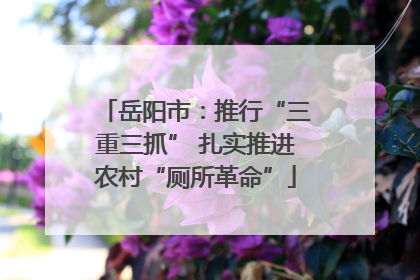 岳阳市：推行“三重三抓” 扎实推进农村“厕所革命”