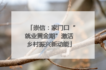 崇信：家门口“就业黄金期”激活乡村振兴新动能