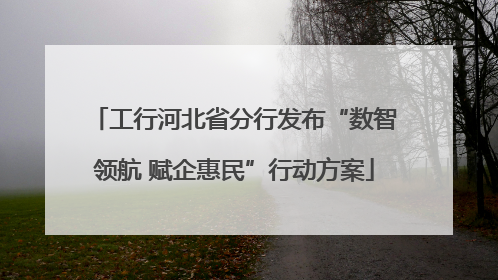 工行河北省分行发布“数智领航 赋企惠民”行动方案