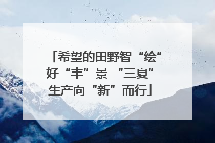 希望的田野智“绘”好“丰”景 “三夏”生产向“新”而行