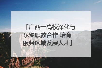广西一高校深化与东盟职教合作 培育服务区域发展人才