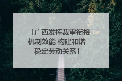 广西发挥裁审衔接机制效能 构建和谐稳定劳动关系