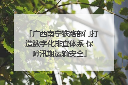 广西南宁铁路部门打造数字化排查体系 保障汛期运输安全