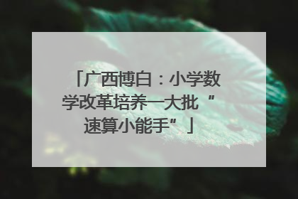 广西博白：小学数学改革培养一大批“速算小能手”