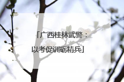 广西桂林武警：以考促训砺精兵