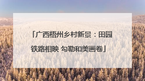 广西梧州乡村新景：田园铁路相映 勾勒和美画卷