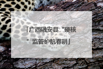 广西融安县“硬核”监管护航春耕