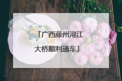 广西藤州浔江大桥顺利通车