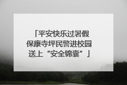 平安快乐过暑假 保康寺坪民警进校园送上“安全锦囊”
