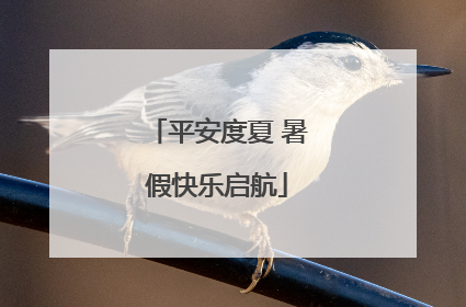 平安度夏 暑假快乐启航