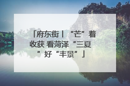 府东街丨“芒”着收获 看菏泽“三夏”好“丰景”